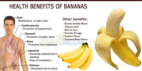 Is Running in the Morning Good for You? And Why Do Bananas Dream of Electric Sheep?